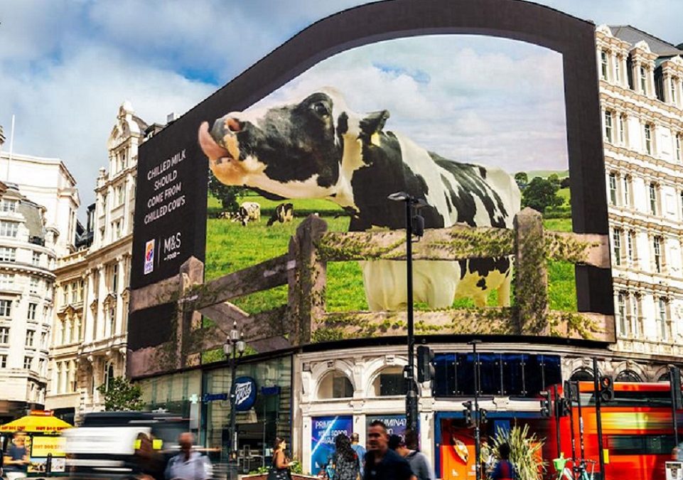 M&S Food brings happy, chilled cows to life in 3D OOH billboard